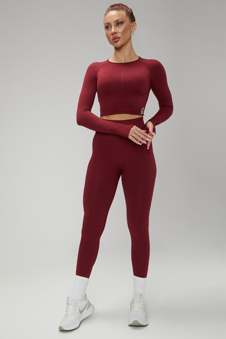 Hot Winter Spring Seamless Long Sleeve Crop Top High Waist Leggings 2psc Set