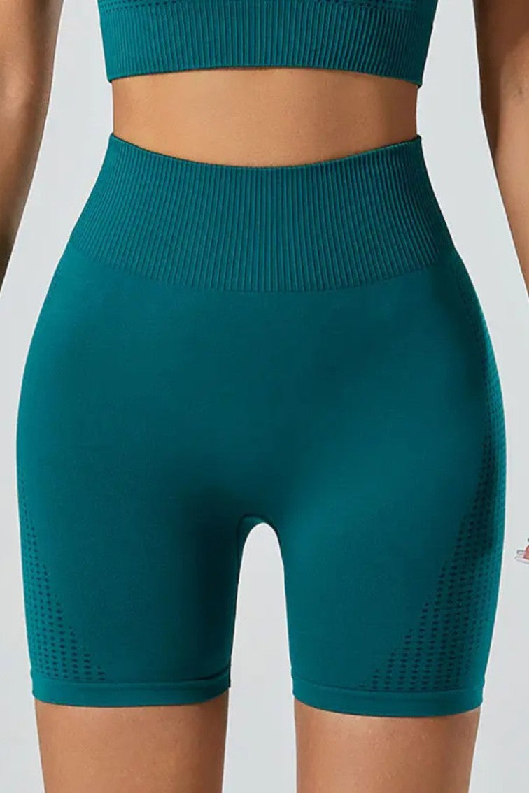 New High Waisted 5 Pieces Workout Yoga, Running Wear Long sleeves, Leggings, Shorts, Sport Bra and Short sleeves Crop Top