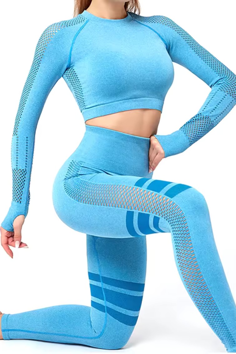 Women Seamless Workout Outfits Sport Long Sleeve And Legging Blue Net