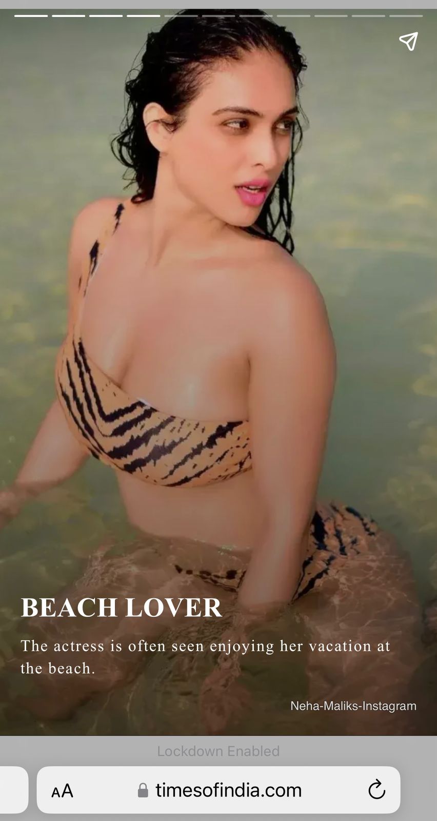 Women Tiger Print Bikini 3Pcs Set