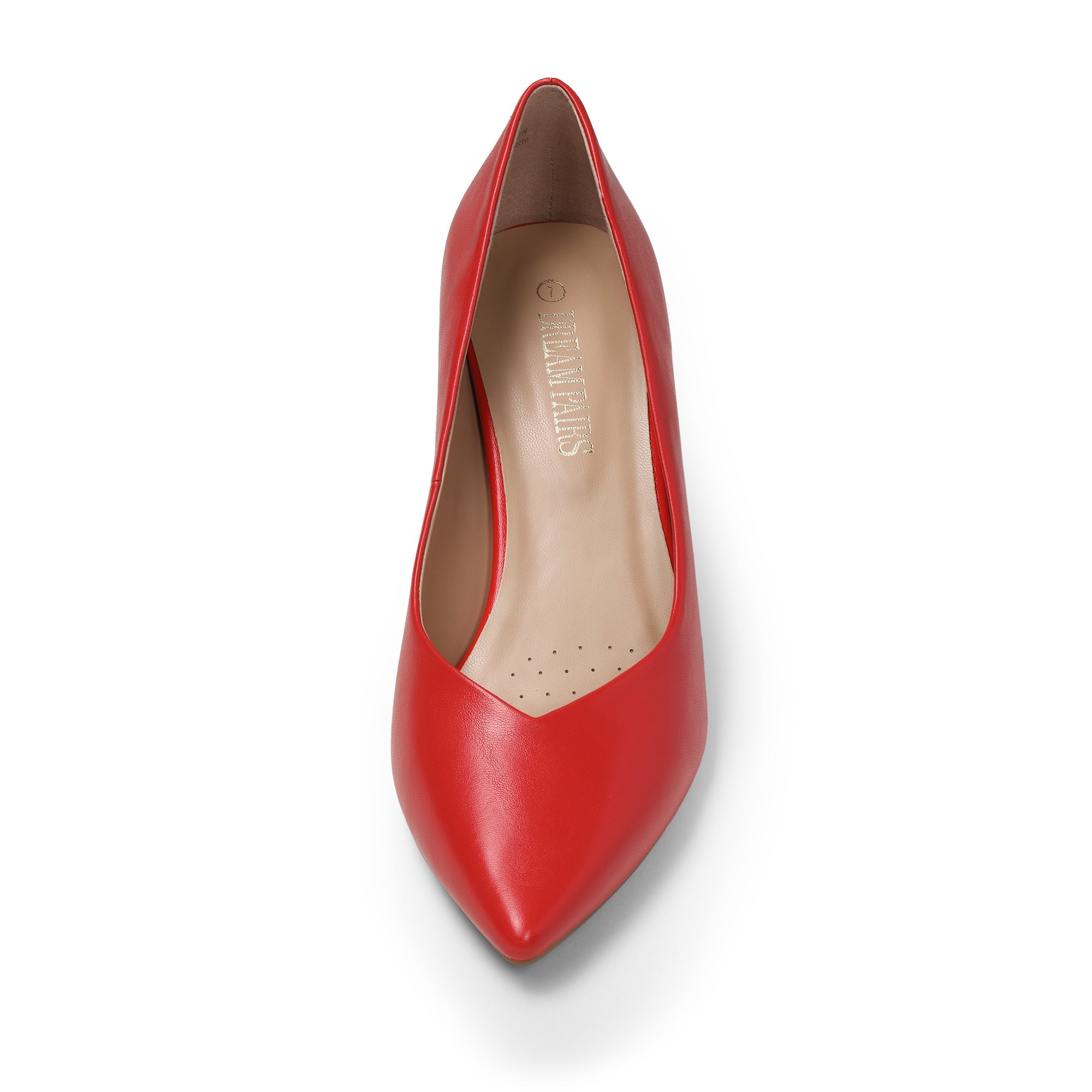 Pointed Toe Chunky Heel Pumps