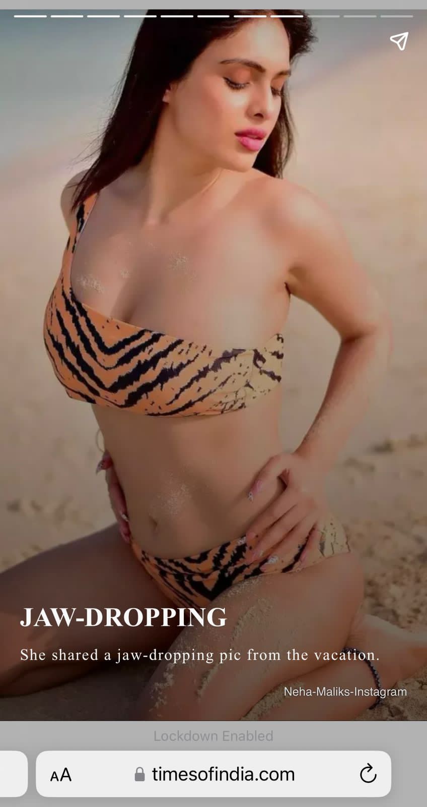 Women Tiger Print Bikini 3Pcs Set