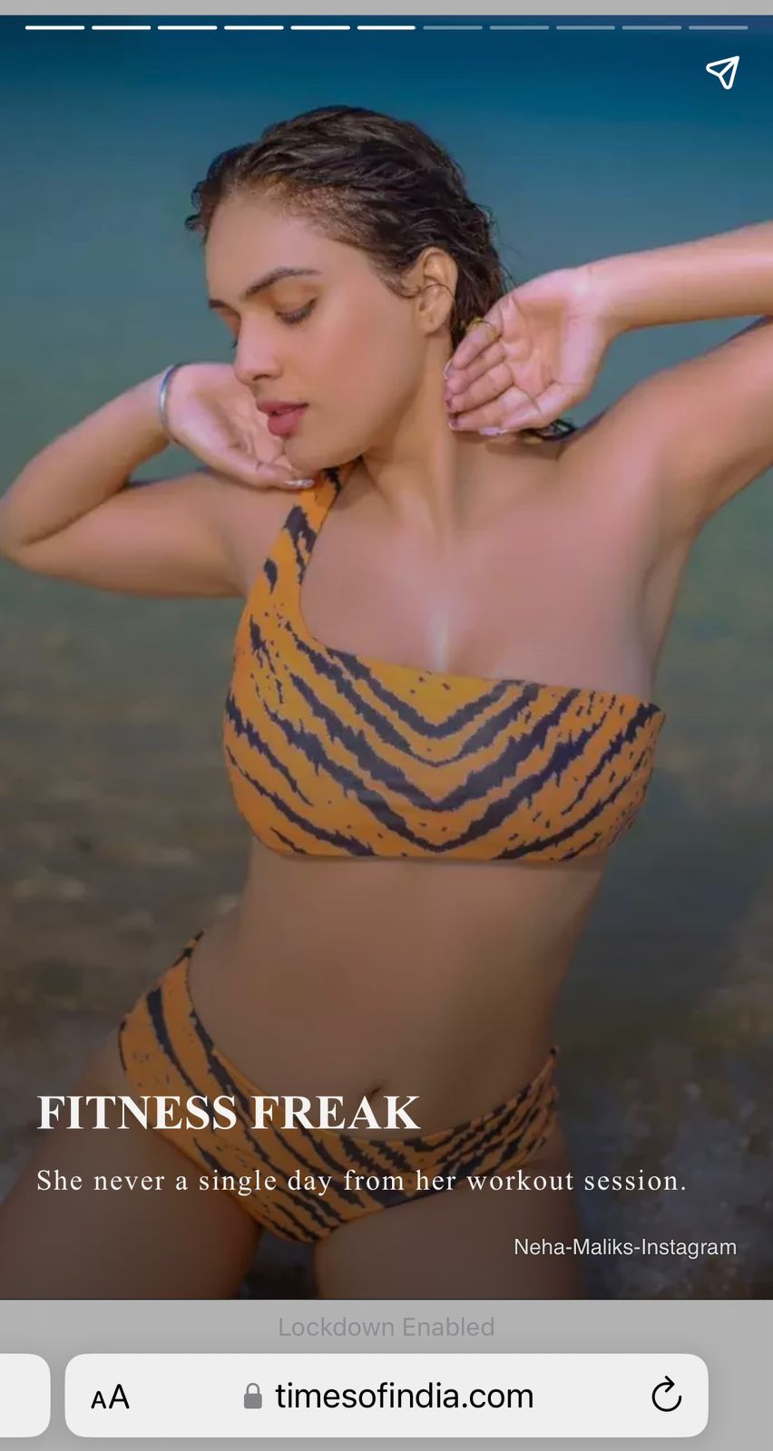 Women Tiger Print Bikini 3Pcs Set