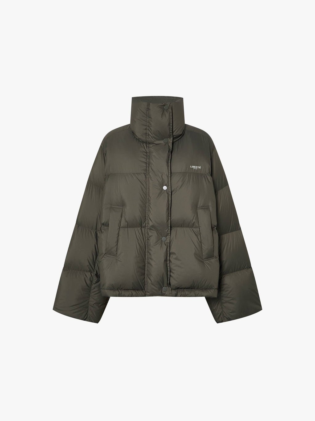 Puffy Goose Down Jacket
