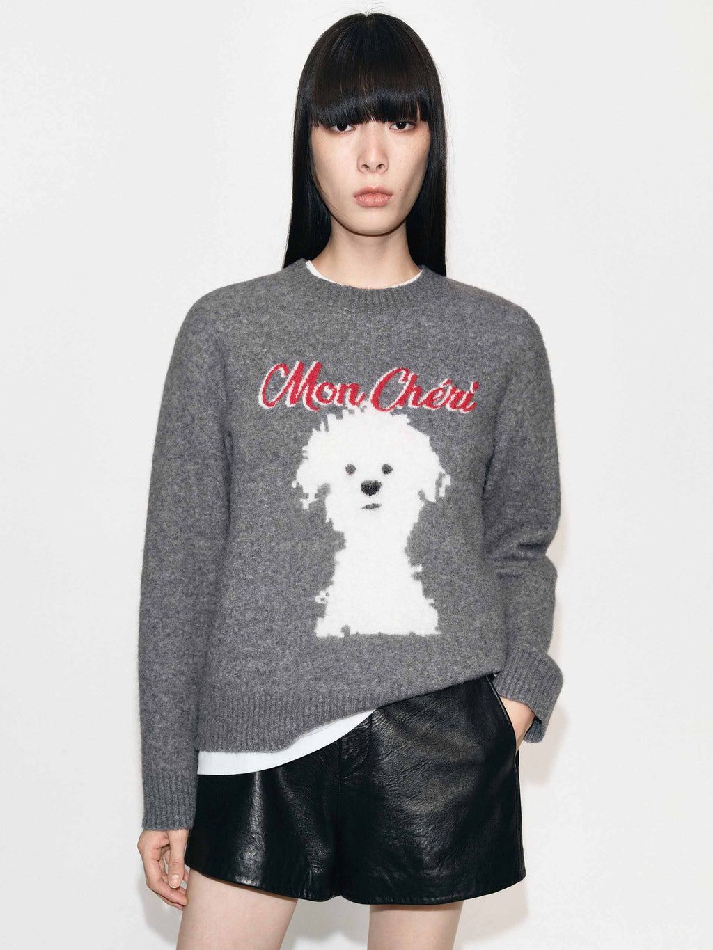 Puppy Pattern Knitted Sweater