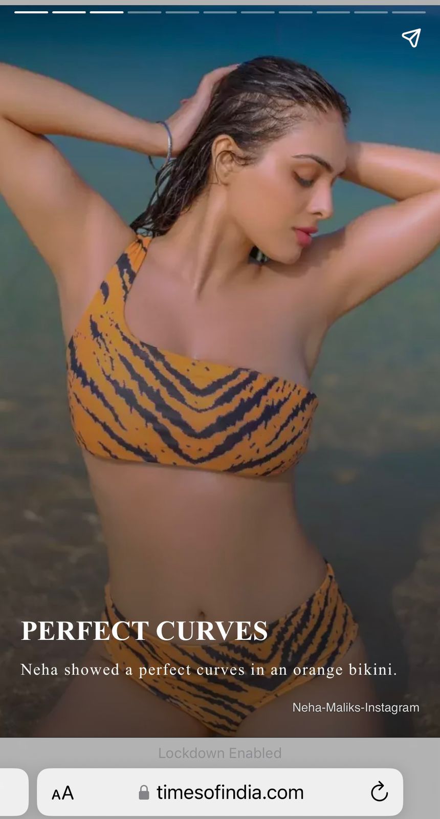 Women Tiger Print Bikini 3Pcs Set