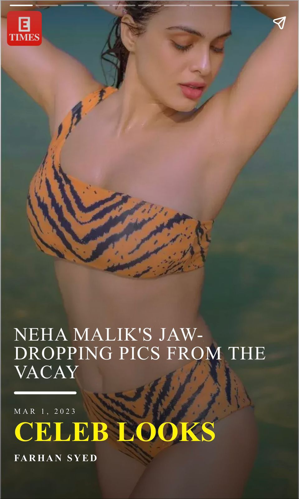 Women Tiger Print Bikini 3Pcs Set