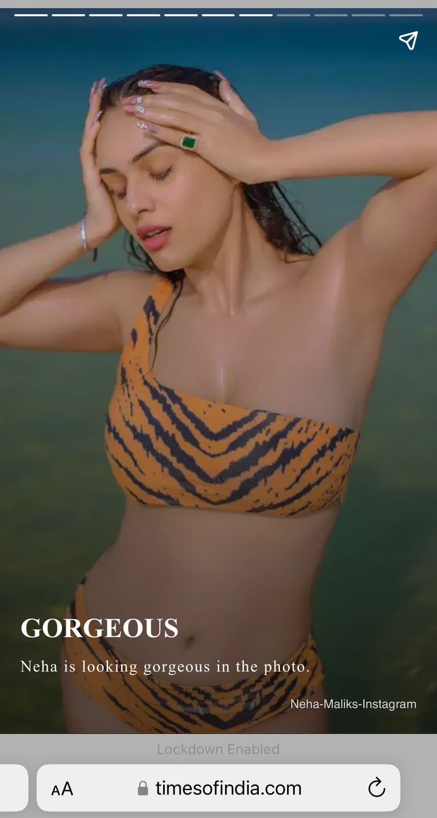 Women Tiger Print Bikini 3Pcs Set