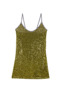 Rober's dress