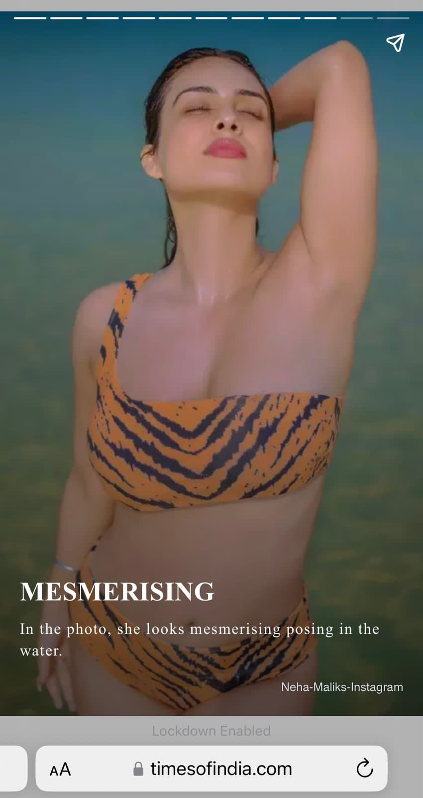 Women Tiger Print Bikini 3Pcs Set