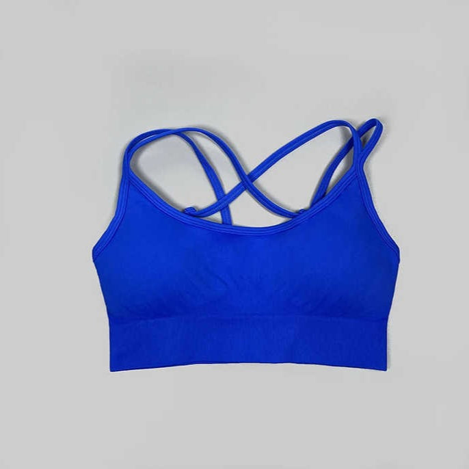 Rib-Knit Ladies High Waist Breathable Sport Pants And ZigZag Back Padded Bra Blue