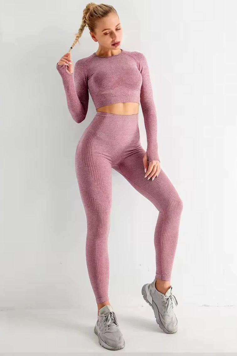 Women Seamless Workout Outfits Sport Long Sleeve And Legging Grey Plain Pink