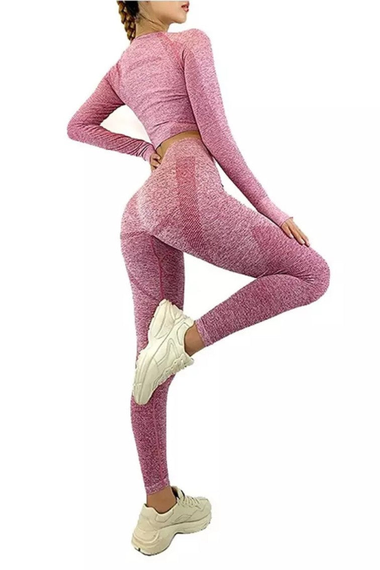Women Seamless Workout Outfits Sport Long Sleeve And Legging Grey Plain Pink